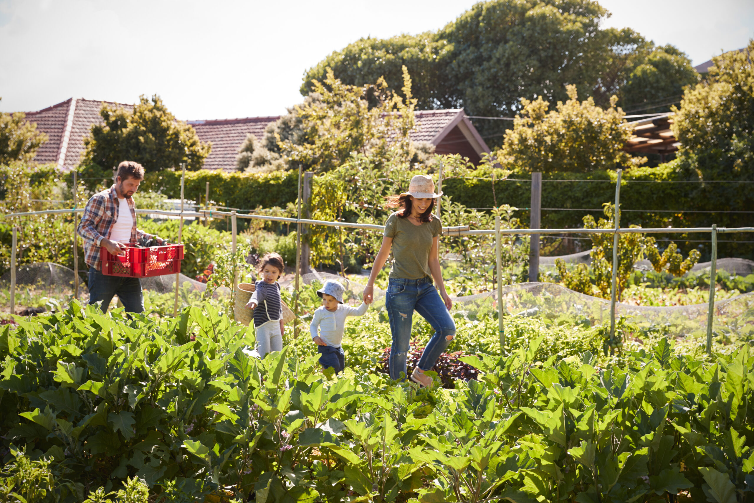 A family walking through the sustainable community garden at Newfield in Palm City, Florida